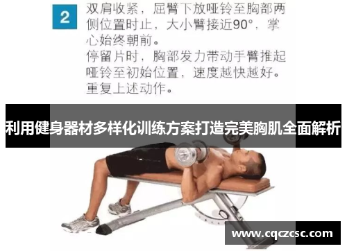 利用健身器材多样化训练方案打造完美胸肌全面解析