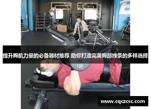 提升胸肌力量的必备器材推荐 助你打造完美胸部线条的多样选择